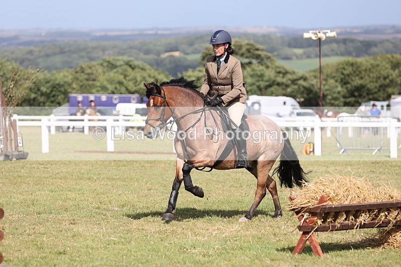 JPP_2649 - Class 20: Working Hunter 70cm