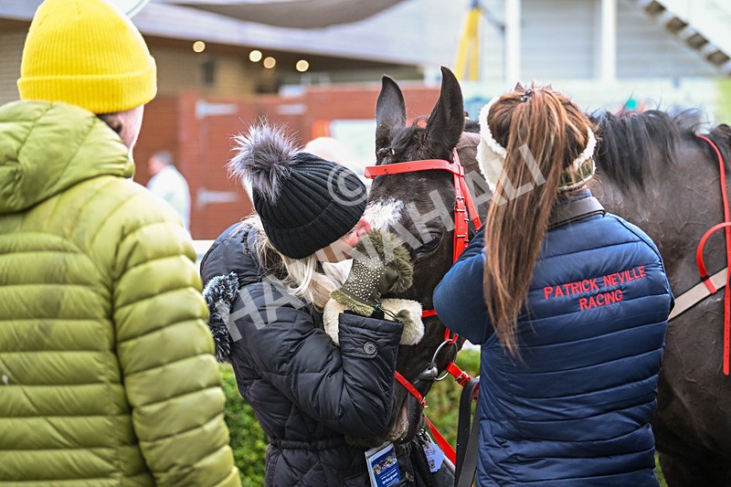 171224-Race 3-Not Staying Long-3223 - Race 3