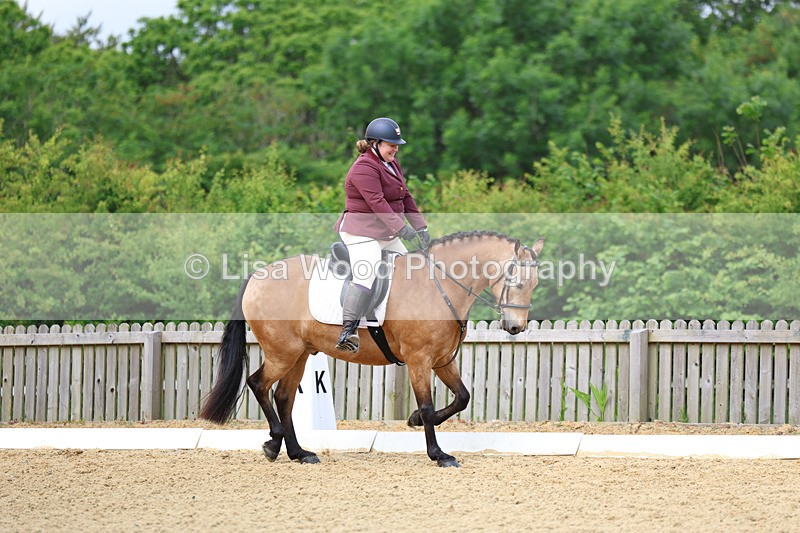 3E7A9127 - Class 2: Intro 1 2024 Section B