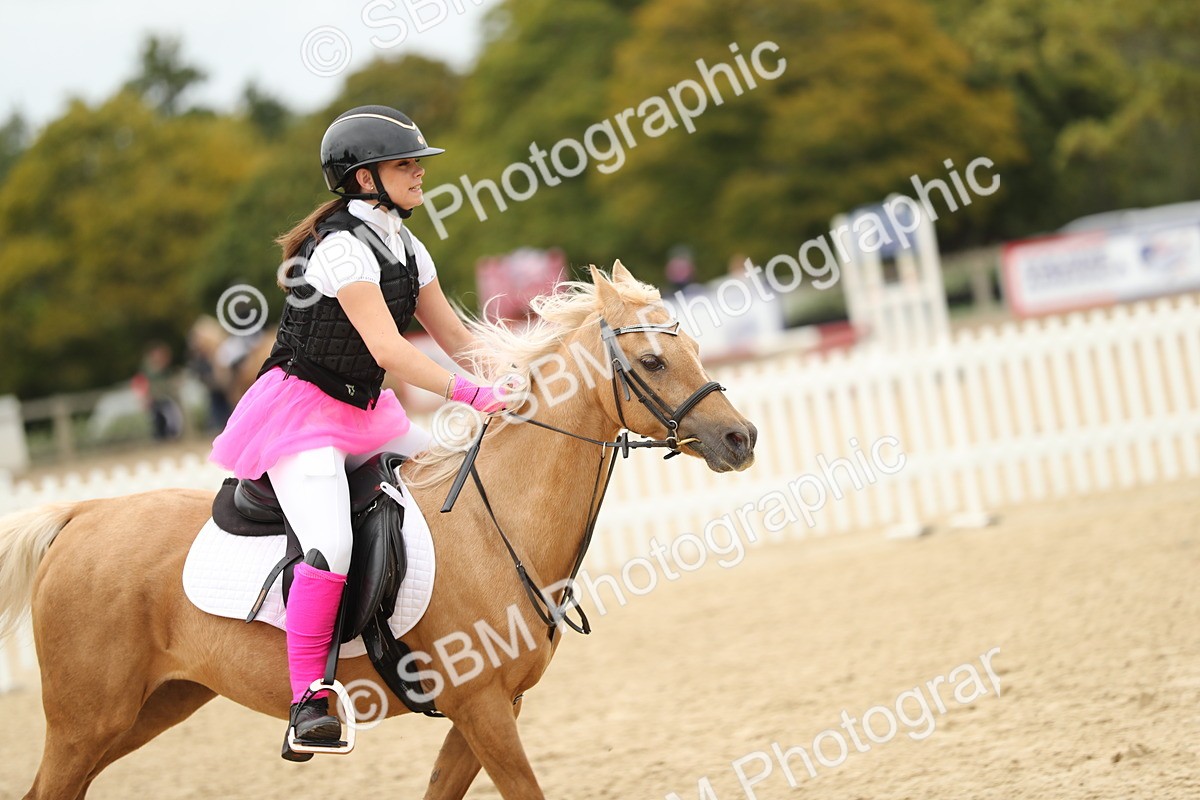 SBM_65783 - J48 - Pairs Jumping Open 70cm & 85cm