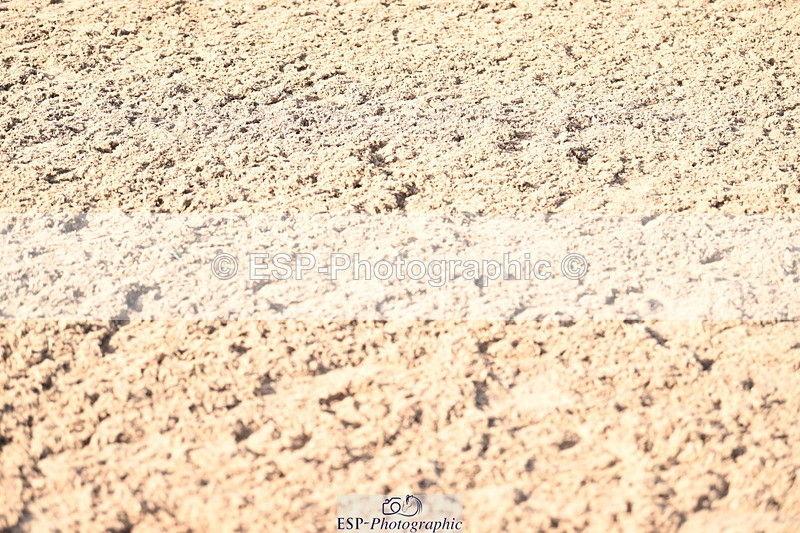 241023A-143138-01063 - Cls 4 Newcomers and 1.10m Open