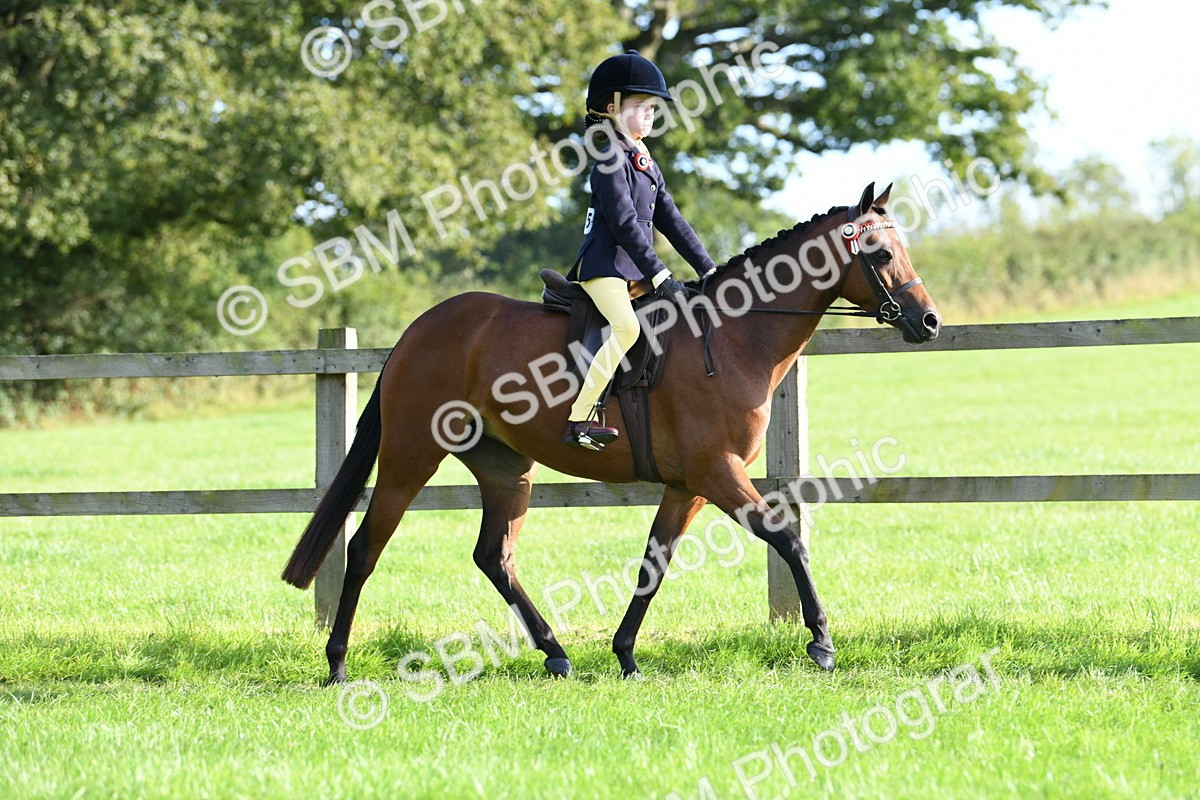 SBM_52377 - S22 - 1st Ridden Show & Show Hunter Pony