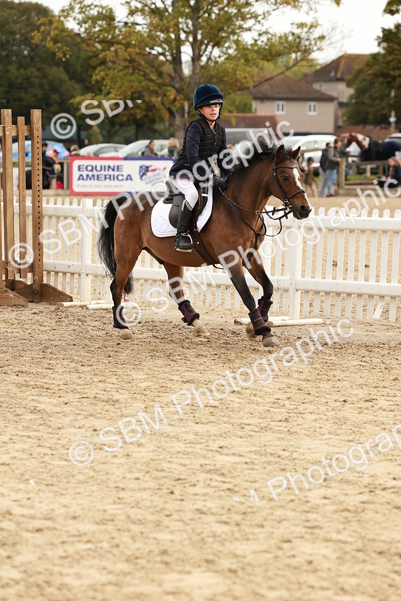 SBM_57789 - J11 - Junior Pony 50cm Championship