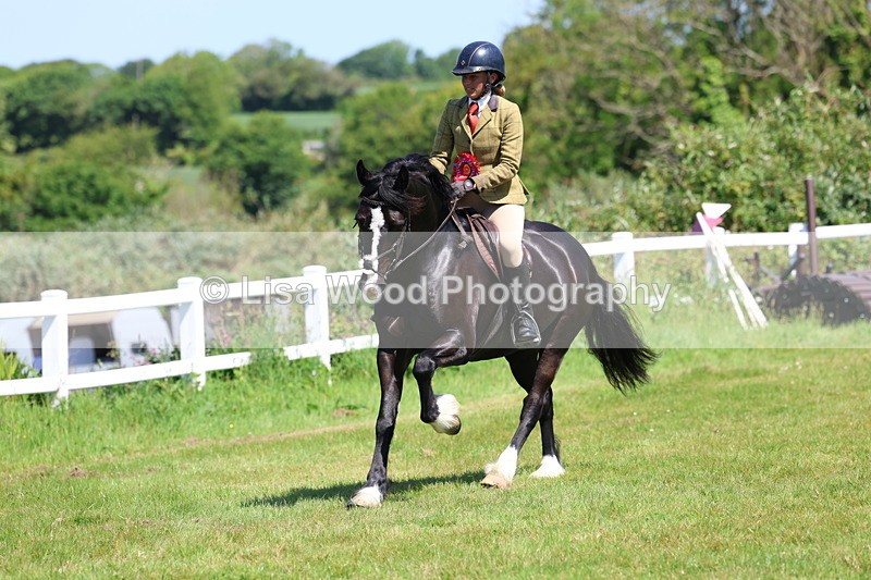 3E7A6755 - Working Hunter Pony Championship