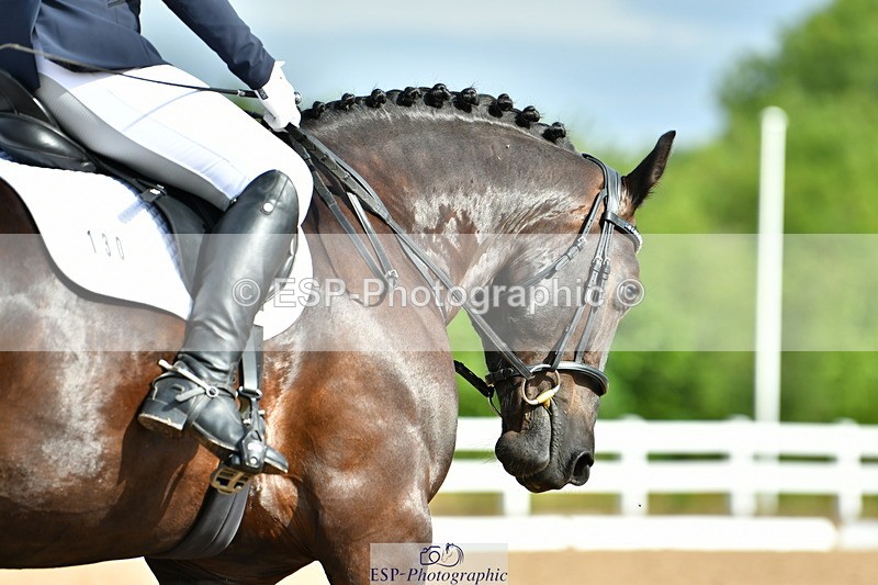 230708A-091811-02038 - Prelim 13