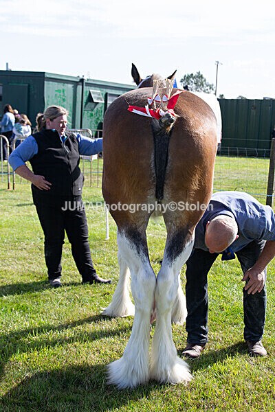 DSC_0164 - Ring 1