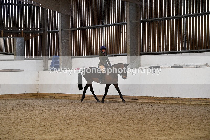 WJ5_7682 - Class 13 Ridden Part Breed