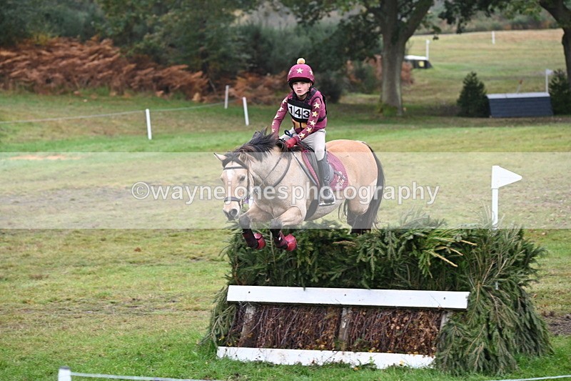 WJ6_2478 - 80cm Cam 1 Time 11:23 to 12:04