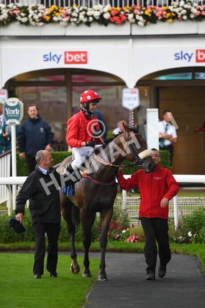 yr21082021r7-19 - Race 7 5.20pm Sky Bet Apprentice Stakes