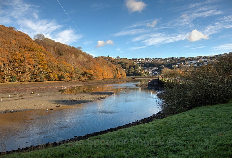 Autumn at on the West Looe River and Trenant Woods - Looe
