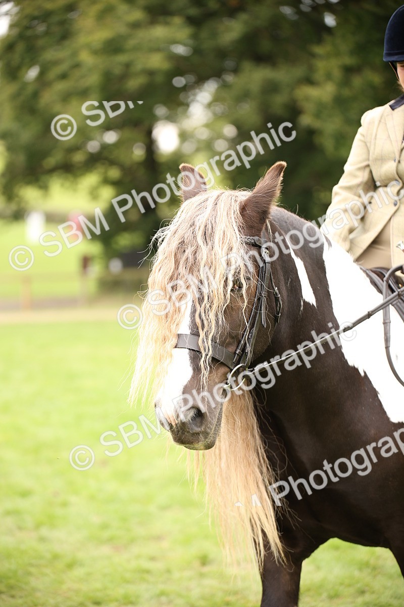SBM_73499 - S68 - Traditional Cob Ridden