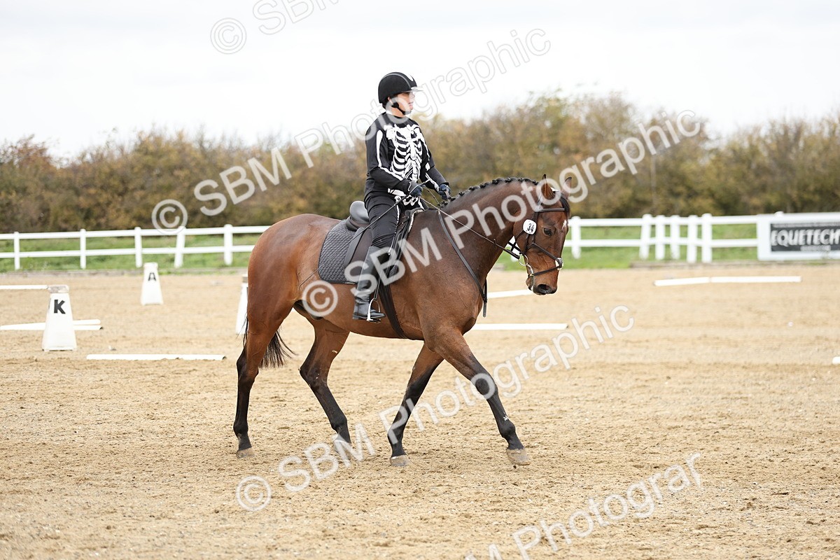 SBM_003896 - Class 9-12 - Novice 2 Elementary 3