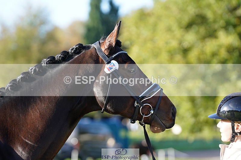 241026-101642-11736 - 012-Mollie.Summerland-SKITTEL.D'EKWI