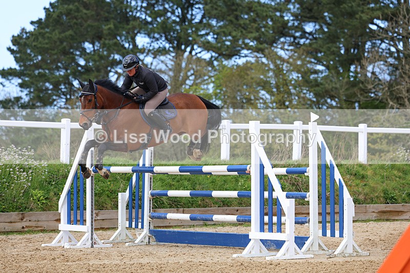 3E7A2046 - Class 8: Senior Foxhunter/1.20 open
