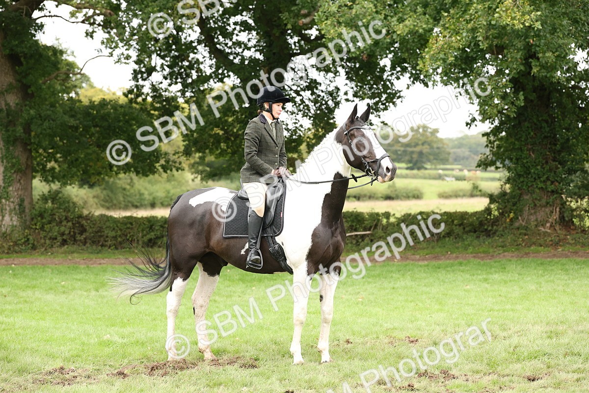 SBM_67307 - S67 - Piebald & Skewbald Horse Ridden