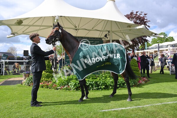 yr11052022r5-34 - Race 5 4.10pm Paddy Power 'Here For The Craic' Stakes