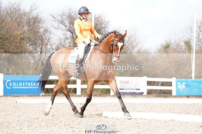 250322-130818-00450 - DR Elementary 2 Test