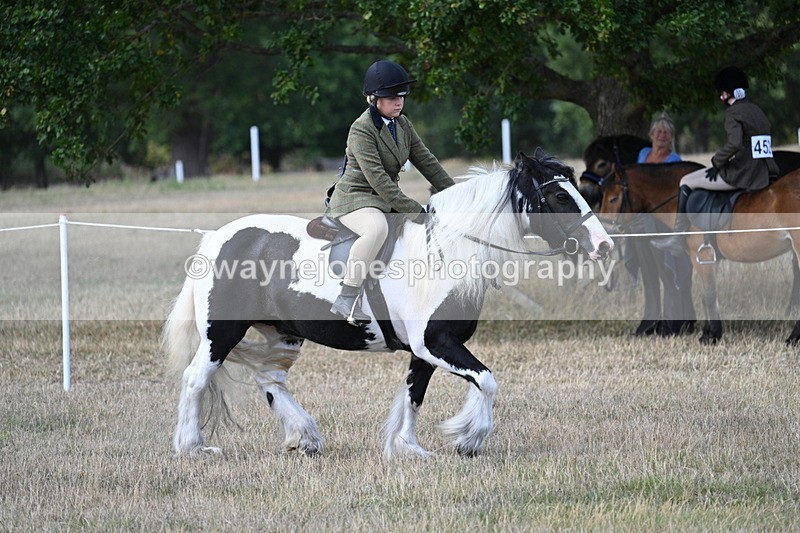 WJ7_6860 - Class 14 Ridden Coloured