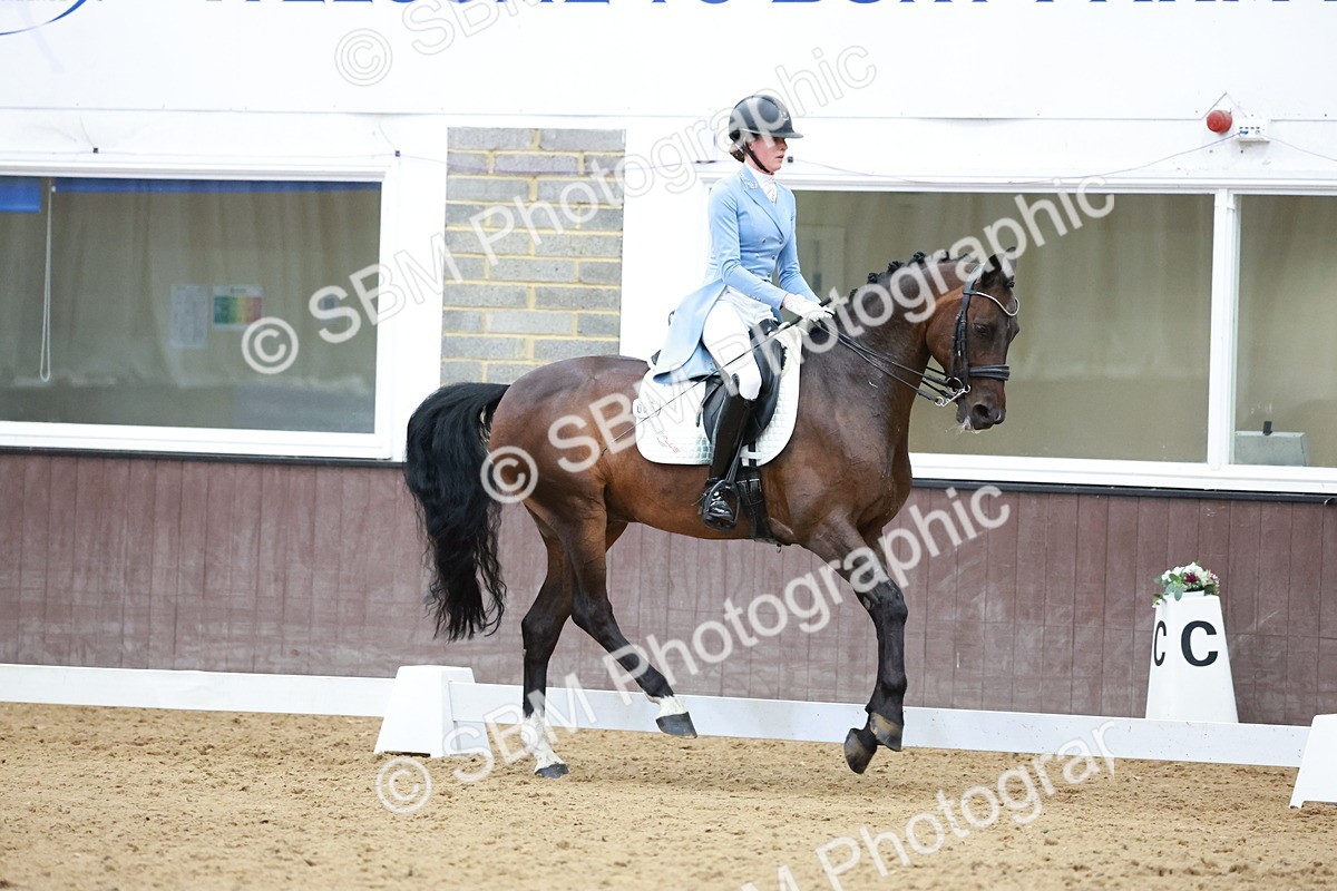 SBM_020112 - Class 12 - FEI PSG - 14.12-15.00