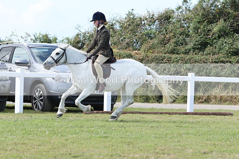 JPP_2395 - Class 19: Working Hunter 60cm