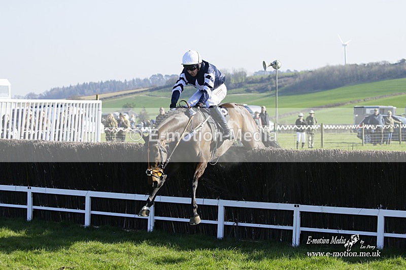 PtP 190322 590 - Wilton Hunt PtP Milborne St Andrew 19/03/22