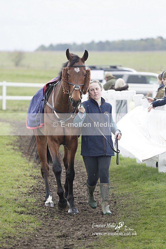 PtP 260323 0759 - New Forest Hounds Point-to-Point Larkhill 26/03/23