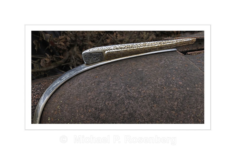 Hood Ornament No.16:  Autographica Series - AUTOGRAPHICA: Faded Glory
