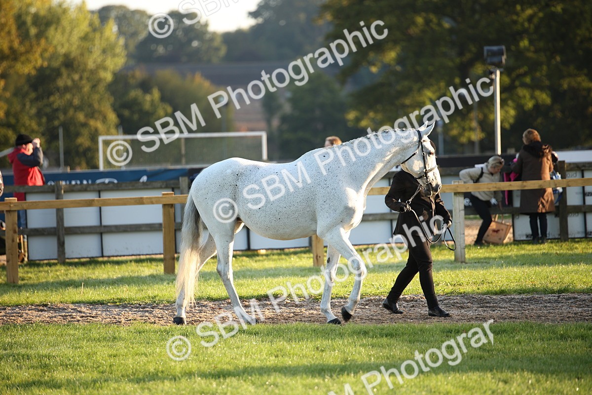 SBM_32255 - S8 - Best Turned Out