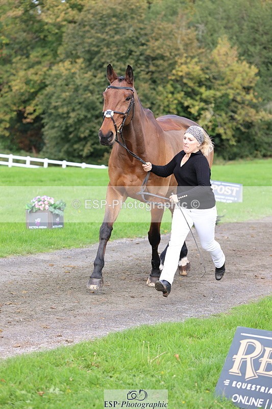 251026A-114907-25702 - G-514-Carolyn.Price With Trot Up