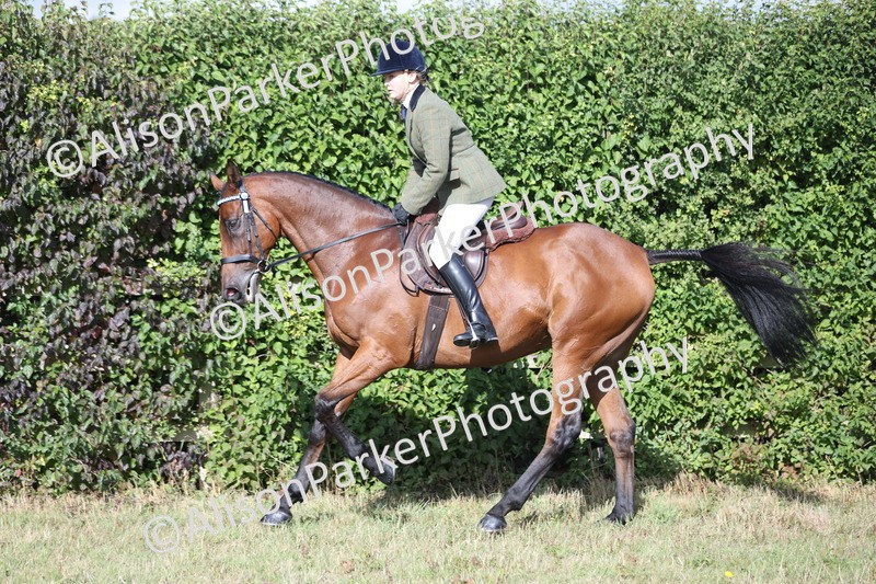20250831-0853 - Class 14 - Ex Racehorse