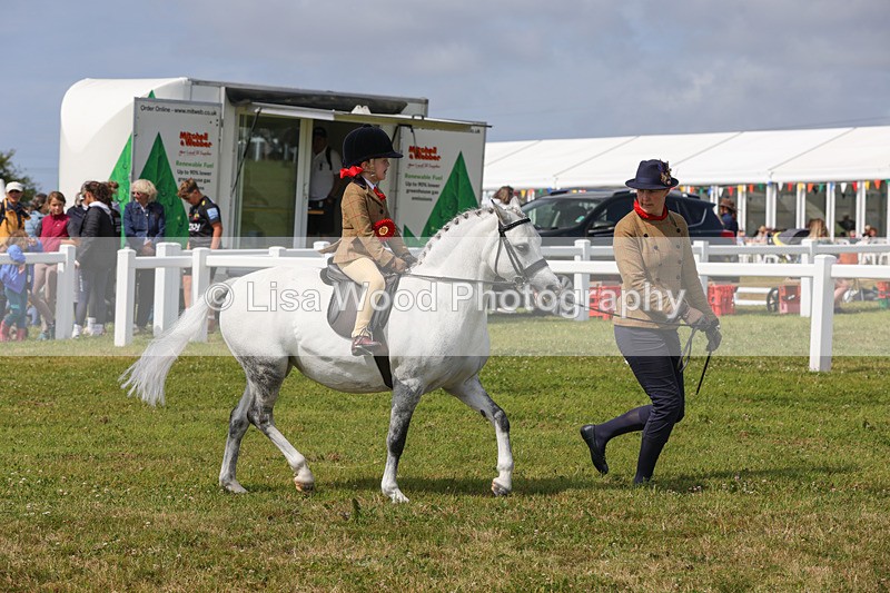 1X9A3839 - Plaited Mini Ridden Championship