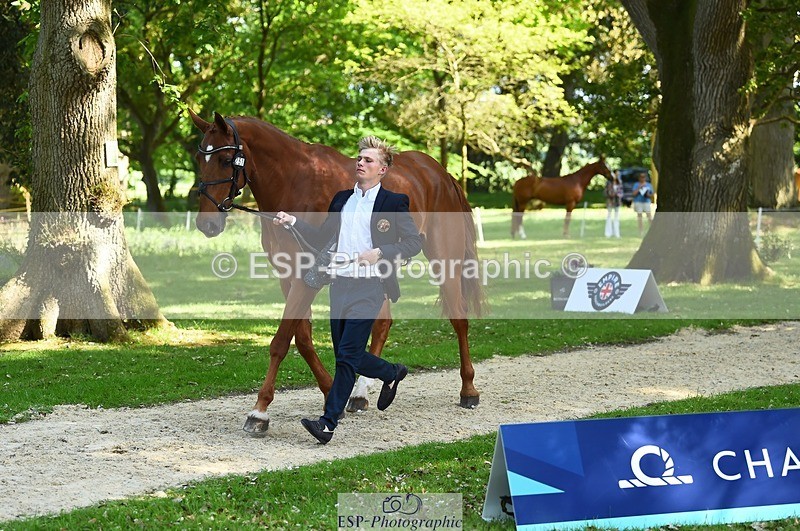 230524-160856-00716 - 251-CLASS_MOVE-Ellie_Healy-WEDTrotUp+DR