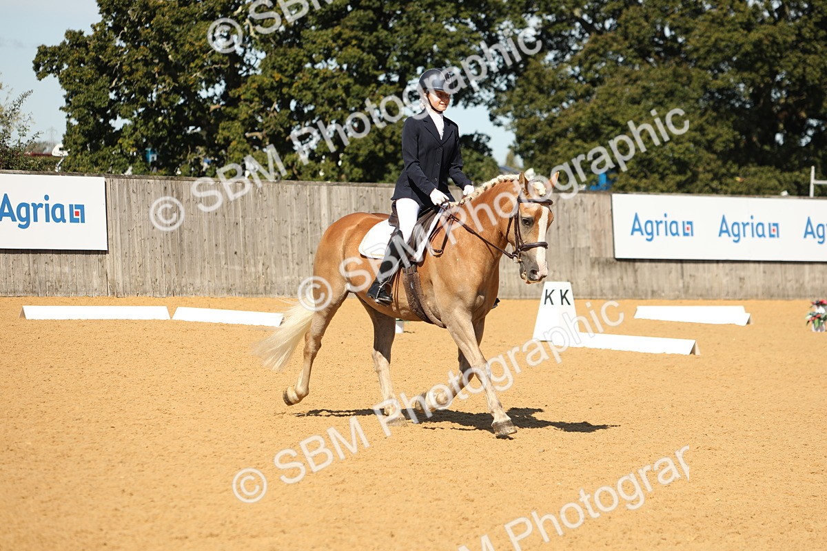 SBM_19728 - D10 - Small Tour Championship - Prelim 2