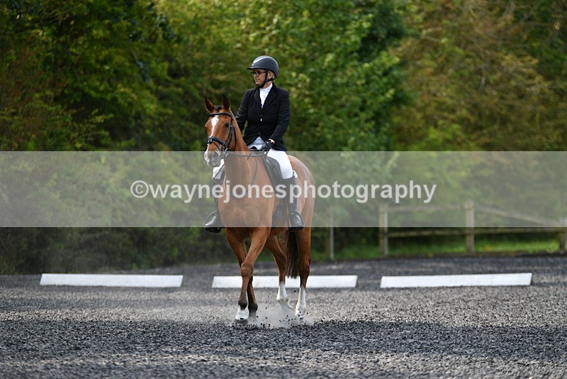 WJ5_9332 - Time 10:10 to 10:47