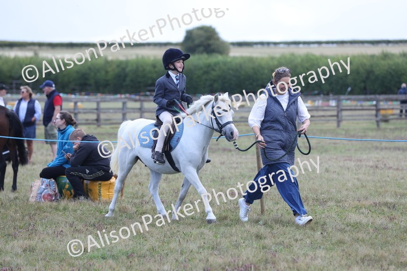 20250831-2372 - Class 16 - Family Pony