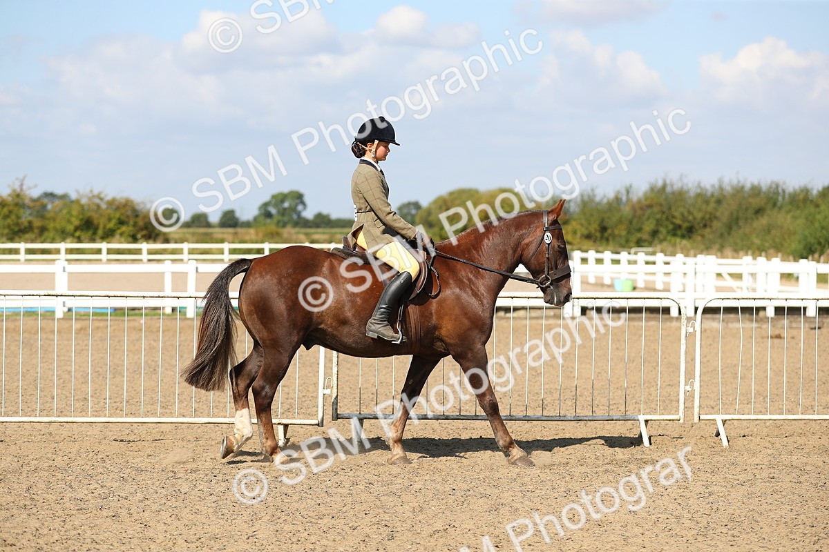 SBM_03095 - Class 44 Riding Club Horse/ Pony
