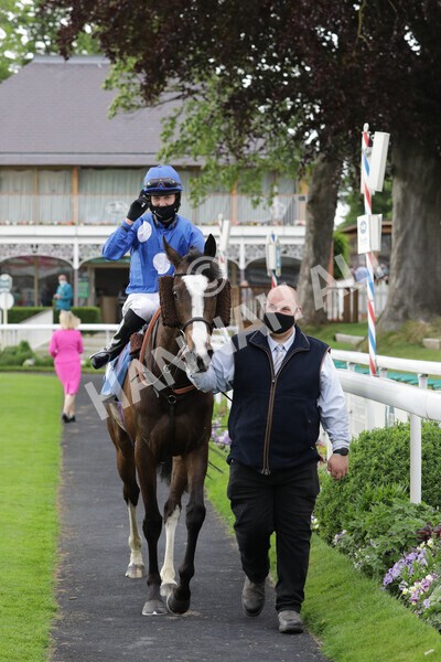 yr11062021r7-22 - Race 7 5.05pm SASH Charity Stakes