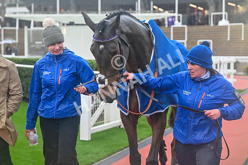 141125-Race 2-Fugitif-9447 - Race 2