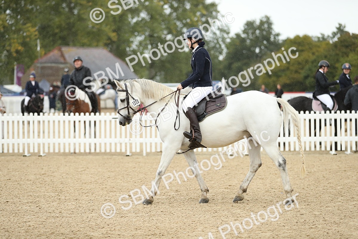 SBM_00958 - J27 - Senior Horse & Pony 50cm Championships