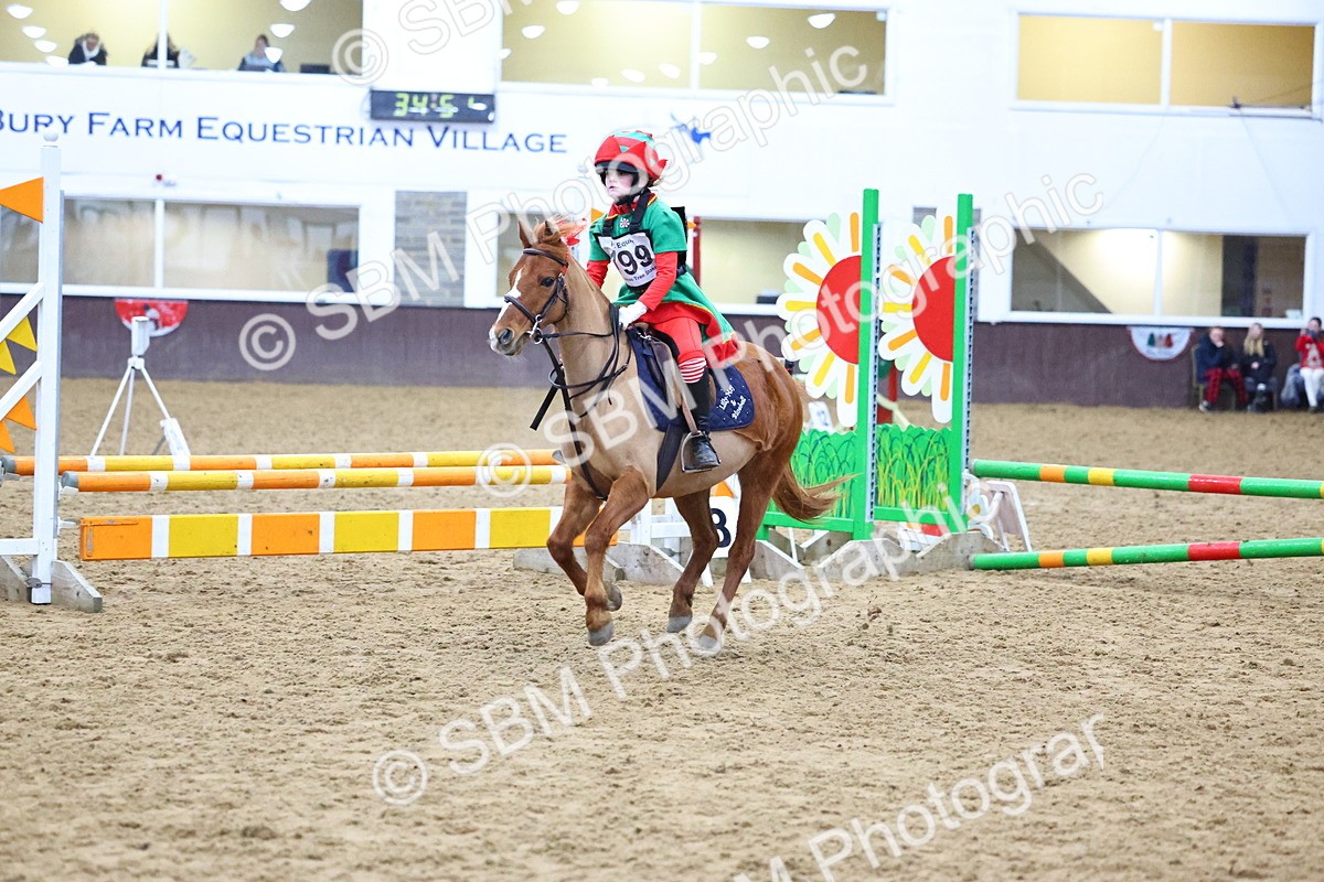 SBM_001448 - Class 3 - Christmas Tree Stakes - 60cm