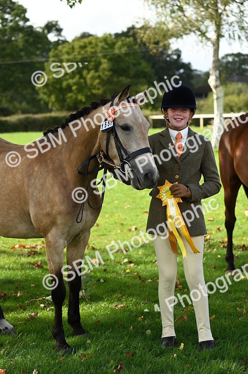 SBM_25062 - S5 - Novice & Newcomer In hand