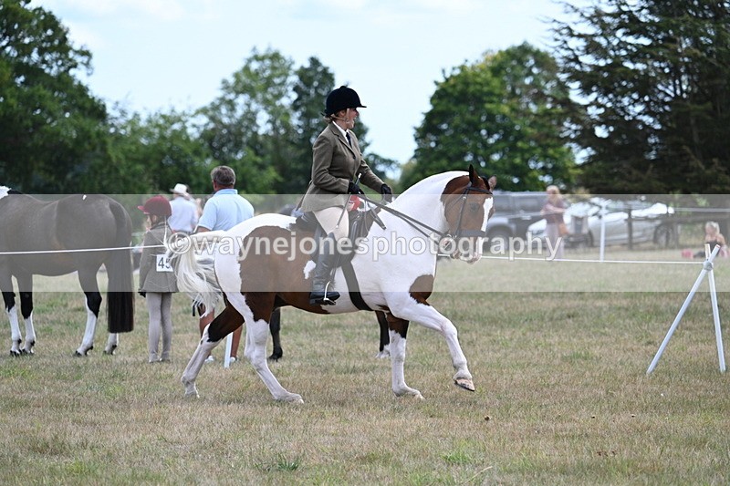 WJ7_5615 - Class 12 Ridden Cob
