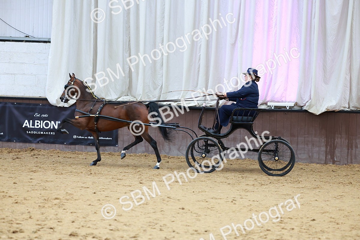 SBM_000682 - Class 9 - HHS Championship Intl Hackney Pony to a Showwagon