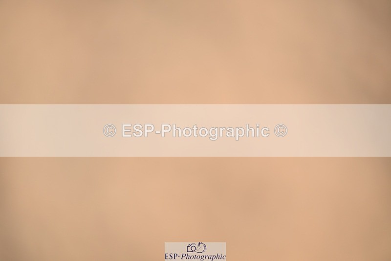 250322-134724-01139 - SJ 90cm (Elementary 2) and Presentations