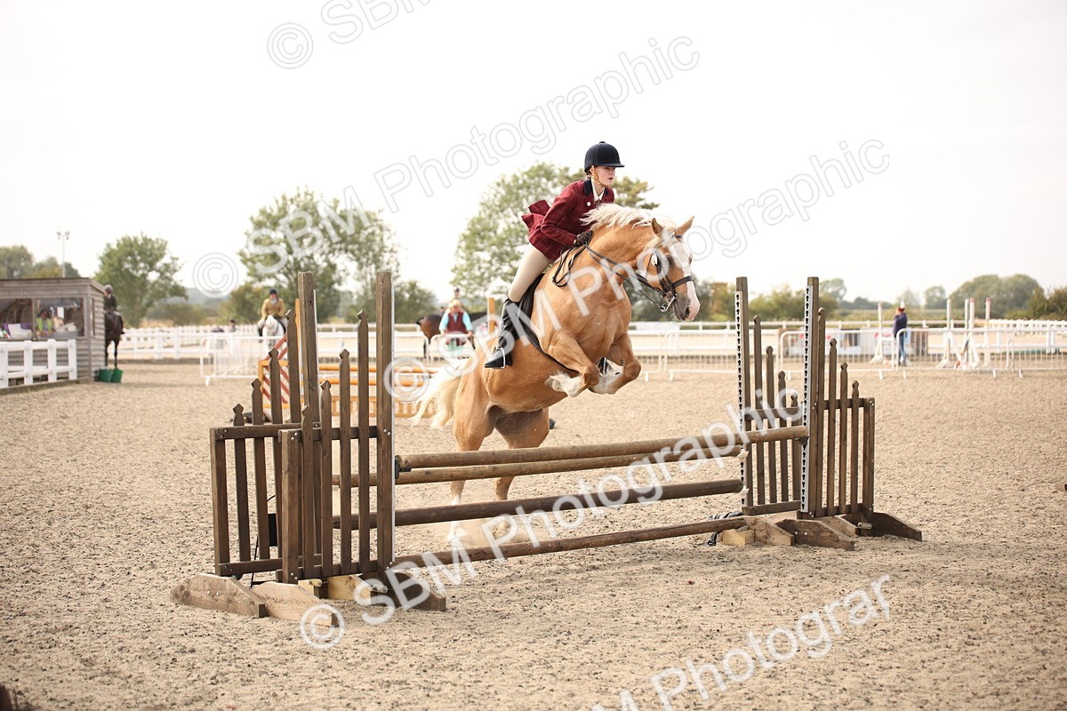 SBM_17250 - Class 410a - Wor5king Veteran 90cm (15-19)