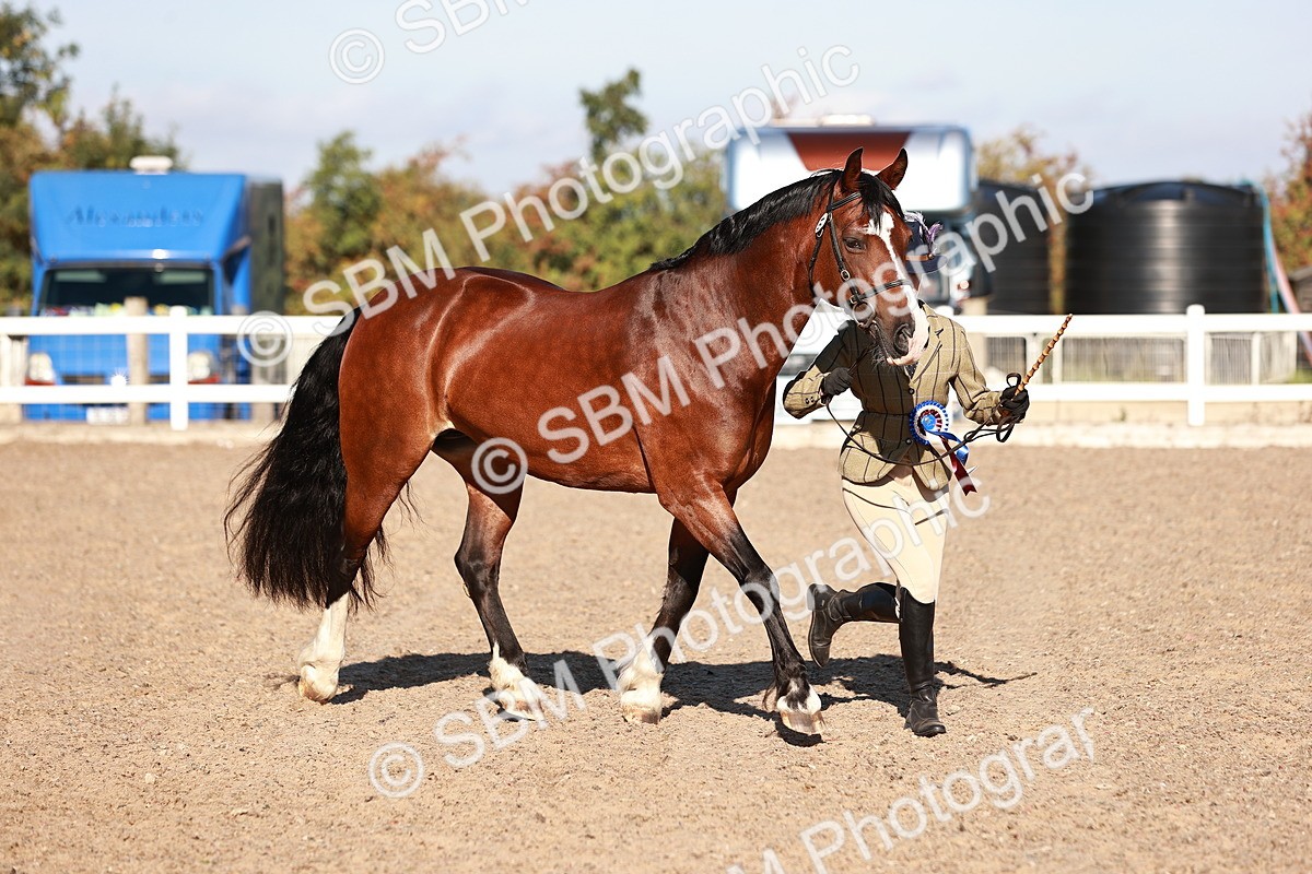SBM_11477 - Class 402 - IH  Veteran pony