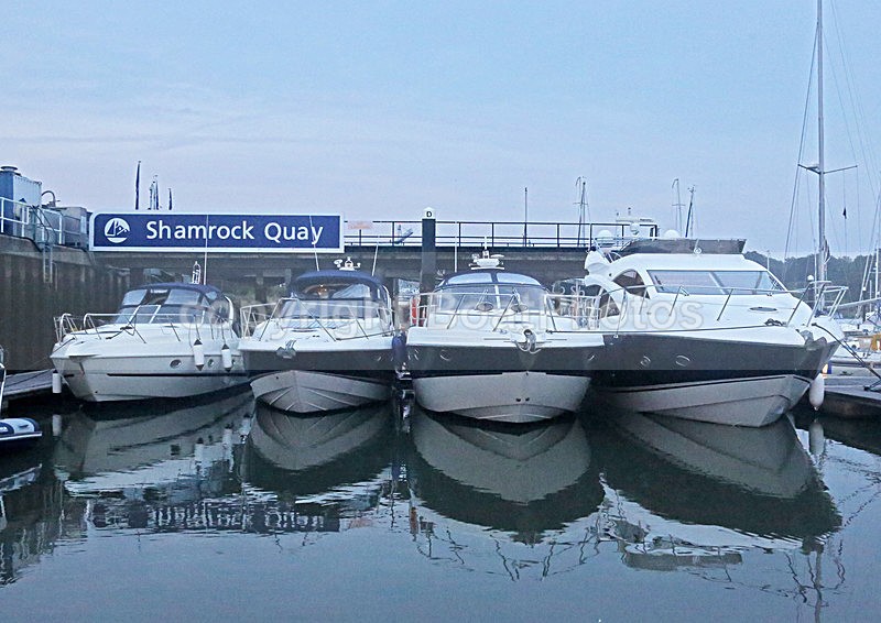140913 SHAMROCK QUAY PROMS NIGHT WT7A6489 - SHAMROCK QUAY PROMS NIGHT 13th September 2014