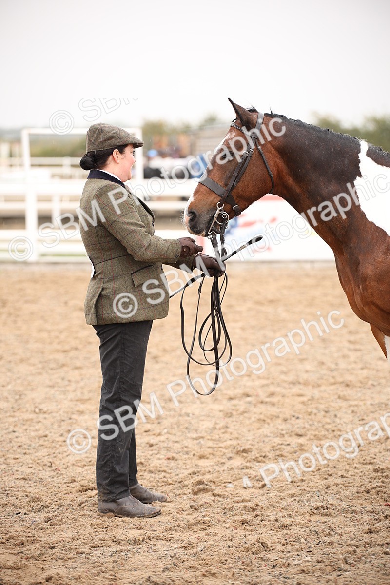 SBM_20199 - Class 703 - IH  Coloured