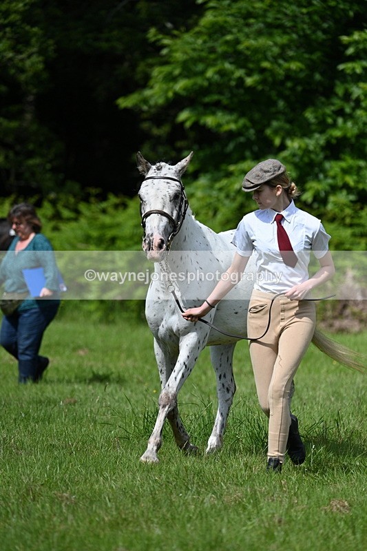 WJ7_1305 - Class 11 Condition & Turnout