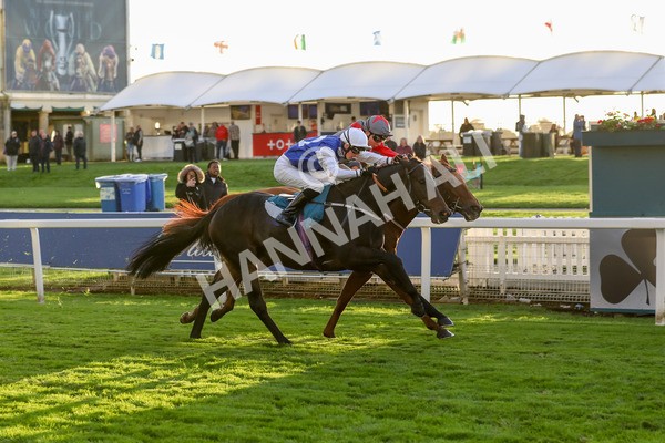 131023-Race 7-Thunder Roar-9974 - Race 7 5.35pm Visit Irish Bloodstock Sales With ITM Apprentice Handicap